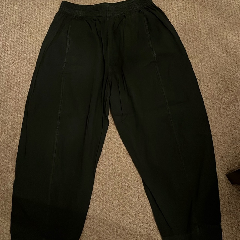 Free people pants.